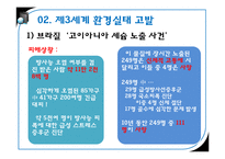 제3세계의 환경파괴 실태와 해결방안 고찰-14