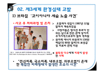 제3세계의 환경파괴 실태와 해결방안 고찰-15