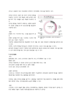 인터넷의 발달과 문화의 변화-9