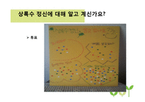 최용신 선생의 상록수 정신 브랜드화-11