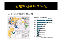 세계평화를 위한 핵무기 감축의 필요성 고찰-7