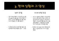 세계평화를 위한 핵무기 감축의 필요성 고찰-11