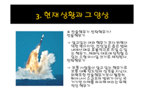 세계평화를 위한 핵무기 감축의 필요성 고찰-13