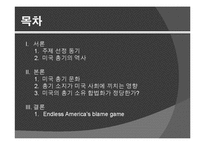 미국의 총기 문화 찬반 논란-2