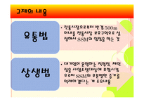 [정책론] 기업형 슈퍼마켓(SSM) 규제 논란과 대안 방안-9