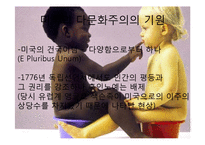 [사회학] 미국, 캐나다의 다문화주의와 다문화정책 연구-17