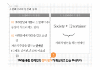 연예인의 정치적 활동, 소셜테이너에 대하여-5