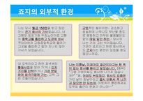 [일본문학] `치인의 사랑` 작품 분석-16