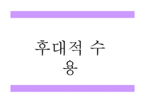 [고전문학] 고려가요의 현대적 재해석-12