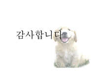 황순원 `목넘이 마을의 개` 작품분석-15