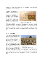 [환경학] 사막화의 원인과 영향 및 피해 사례와 대책방안-8