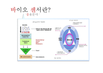 미생물의 종류와 활용-5