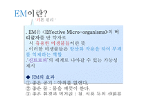 미생물의 종류와 활용-8