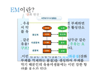 미생물의 종류와 활용-9