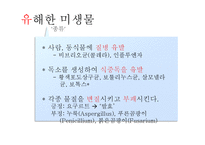 미생물의 종류와 활용-14