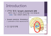 [생리학] 장기기억(Long Term Potentiation)-3