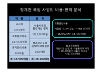 [환경경제학] 청계천 복원 사업의 문제점과 대안방안-7