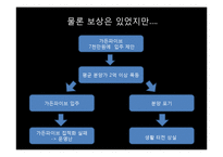 [환경경제학] 청계천 복원 사업의 문제점과 대안방안-9