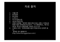 [환경경제학] 청계천 복원 사업의 문제점과 대안방안-12