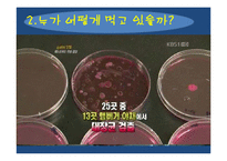 [식품영양학] 패스트푸드의 실태와 영향 분석-6