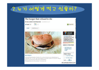 [식품영양학] 패스트푸드의 실태와 영향 분석-7