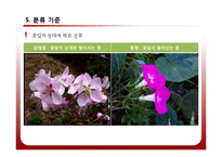 [공학] 야생화 진단 시스템 설계 및 카테고리화-6