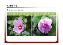 [공학] 야생화 진단 시스템 설계 및 카테고리화-7