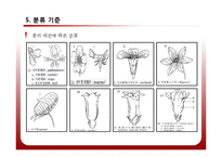 [공학] 야생화 진단 시스템 설계 및 카테고리화-8