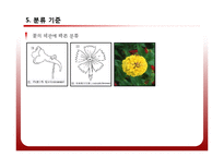[공학] 야생화 진단 시스템 설계 및 카테고리화-10