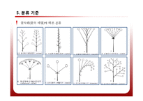 [공학] 야생화 진단 시스템 설계 및 카테고리화-11