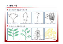 [공학] 야생화 진단 시스템 설계 및 카테고리화-12