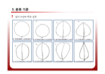 [공학] 야생화 진단 시스템 설계 및 카테고리화-13
