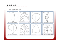 [공학] 야생화 진단 시스템 설계 및 카테고리화-14