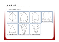 [공학] 야생화 진단 시스템 설계 및 카테고리화-15