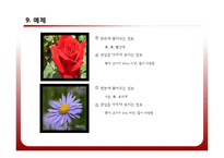[공학] 야생화 진단 시스템 설계 및 카테고리화-19