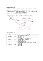 [교육학] 인지발달이론(피아제)와 사회적 구성주의(비고츠키)-1