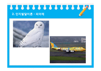 [교육공학] 교육 공학의 심리학적 기반-구성주의-12