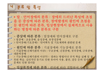 [특수교육] 의사소통장애 아동의 특성과 지도-15