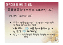 [가족복지] 부모교육 이론-정신분석 이론, 애착이론, 학습이론, 상호작용론-19