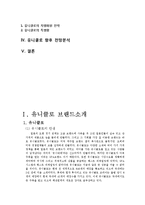 유니클로 경영분석과 마케팅전략분석과 유니클로 성공요인분석과 유니클로 앞으로의 전망-3