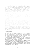 [발달심리학]피아제 분석-4