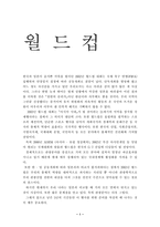 [스포츠효과]월드컵과 아시안 게임의 순기능과 역기능-1