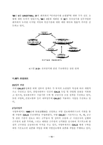 [인터넷시장]전자상거래의 발전 동향-15