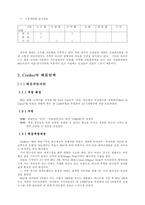 [마케팅]마케팅 성공사례(가이자동차)-10