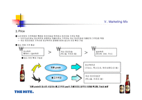 [마케팅]흑맥주 스타우트 경영전략-13
