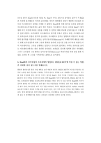 [국제경영]PIZZA HUT과 브라질 화폐 REAL화-7