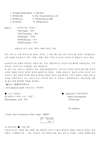 e-business의 생존과 방향-13