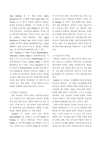 인간의 인지와 지각을 고려한 게임디자인 요소 분석-4