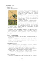 [지리학]사막화 발표자료-4