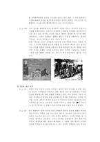 [세계사]세계사 교과서 분석-5